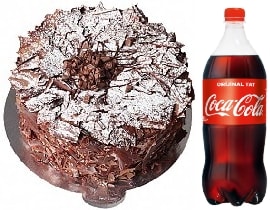 4-6 Kişilik Parça Çikolatalı Pasta Kaliteli Tokat pasta